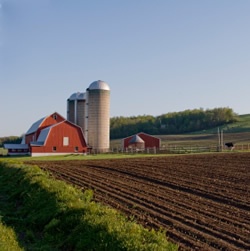 Red-barn-and-silos-with-milled-field