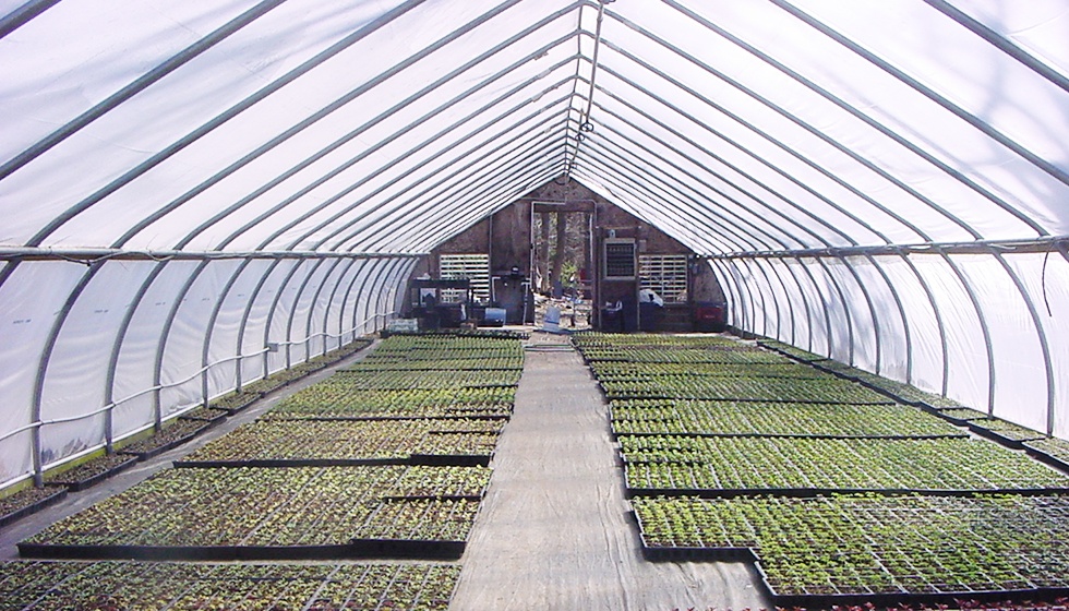 Ventilate-greenhouses-with-air-cleaning-blowers