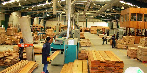 Saw-mill-putting-wood-into-machine